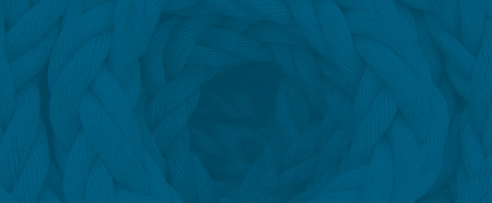bg-banner-history